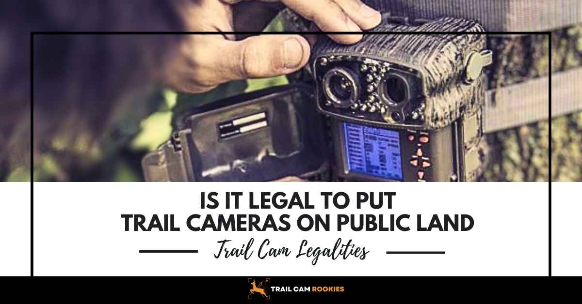 Is it Legal to Put Trail Cameras on Public Land
