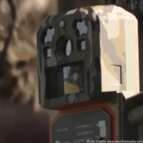 14 Practical Tricks and Tips on How to Track a Stolen Trail Camera