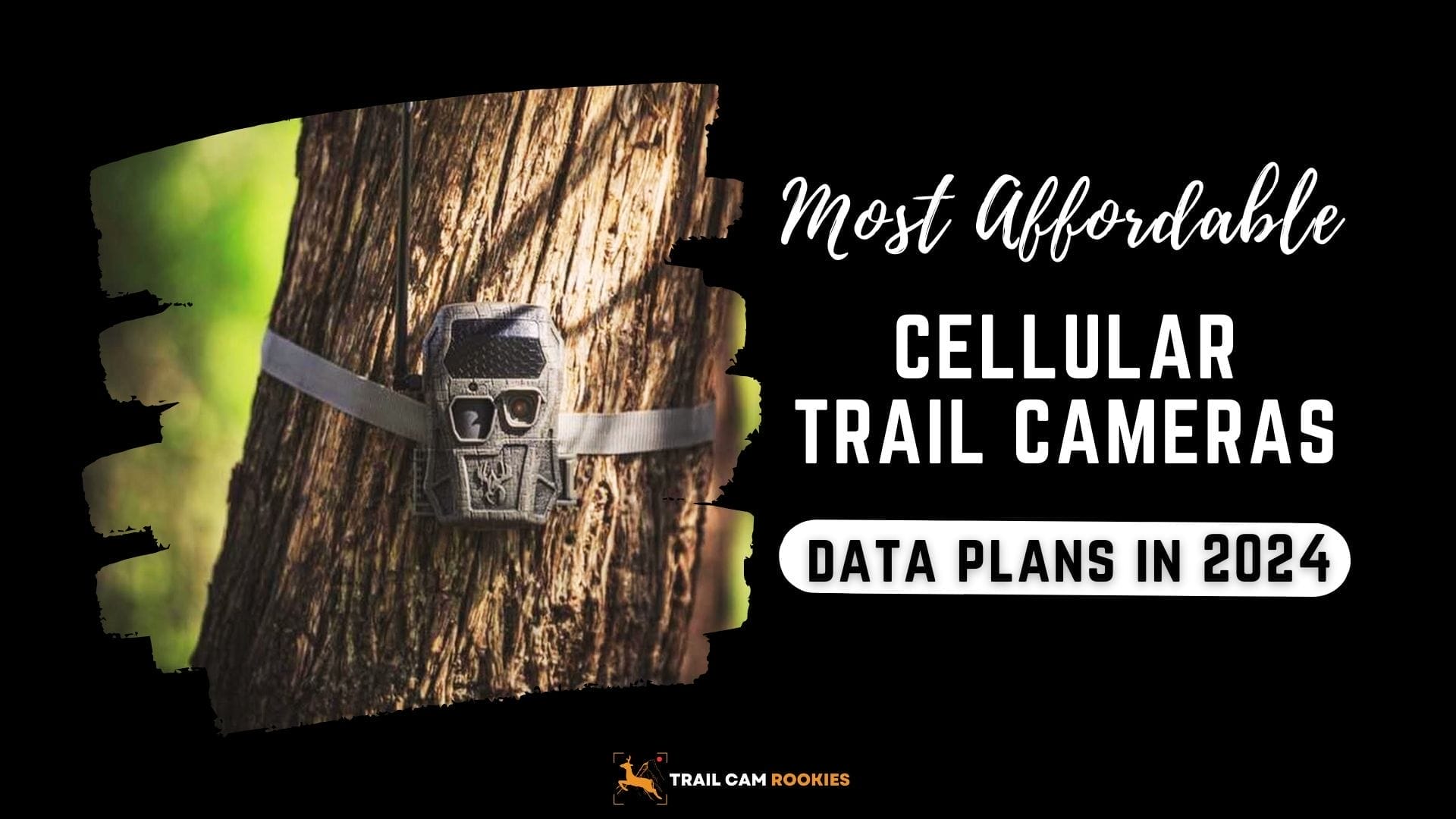 2024 Guide to the Most Cheapest Cellular Trail Camera Plans