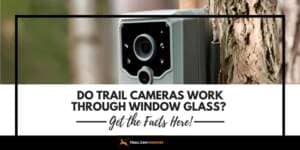 Do Trail Cameras Work Through Window Glass Get the Facts Here!