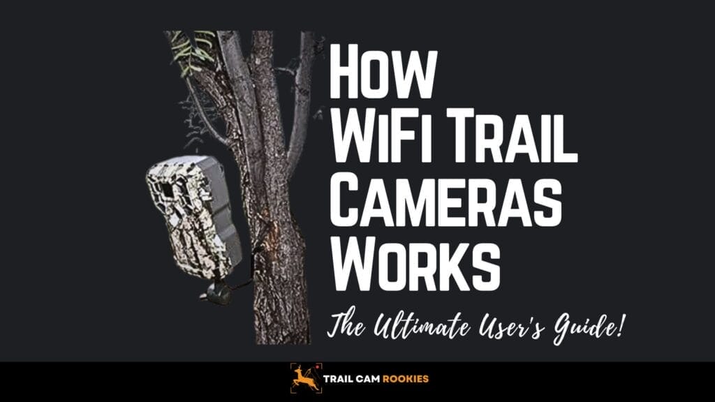 How Does a WiFi Trail Camera Work? The Ultimate User's Guide!