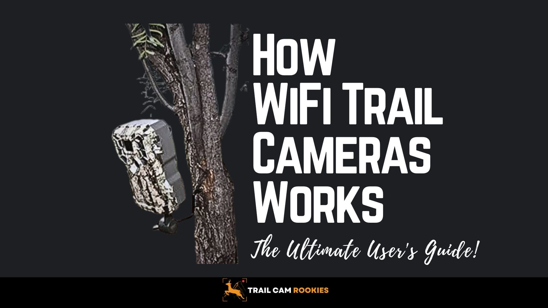 How Does a WiFi Trail Camera Work? The Ultimate User's Guide!