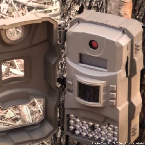 Is the Tasco Trail Camera Worth the Hype? A Critical Review