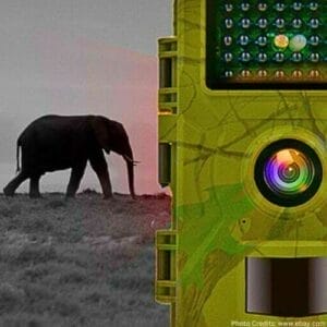 What-Does-IRAM-Mean-on-a-Trail-Camera