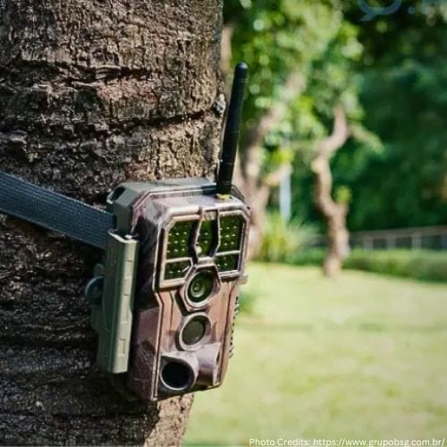 What is Shot Lag on Trail Camera? The Ultimate Beginners Guide
