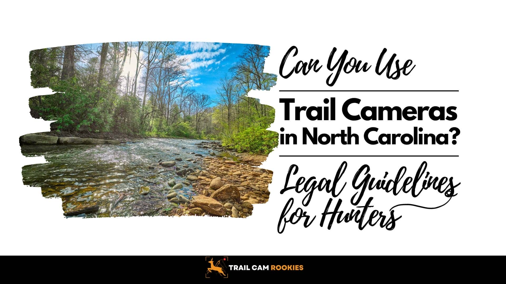 Are-Trail-Cameras-Legal-in-North-Carolina