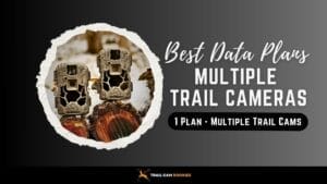 Best-Multiple-Cellular-Trail-Cameras-on-One-Data-Plan-in-2024