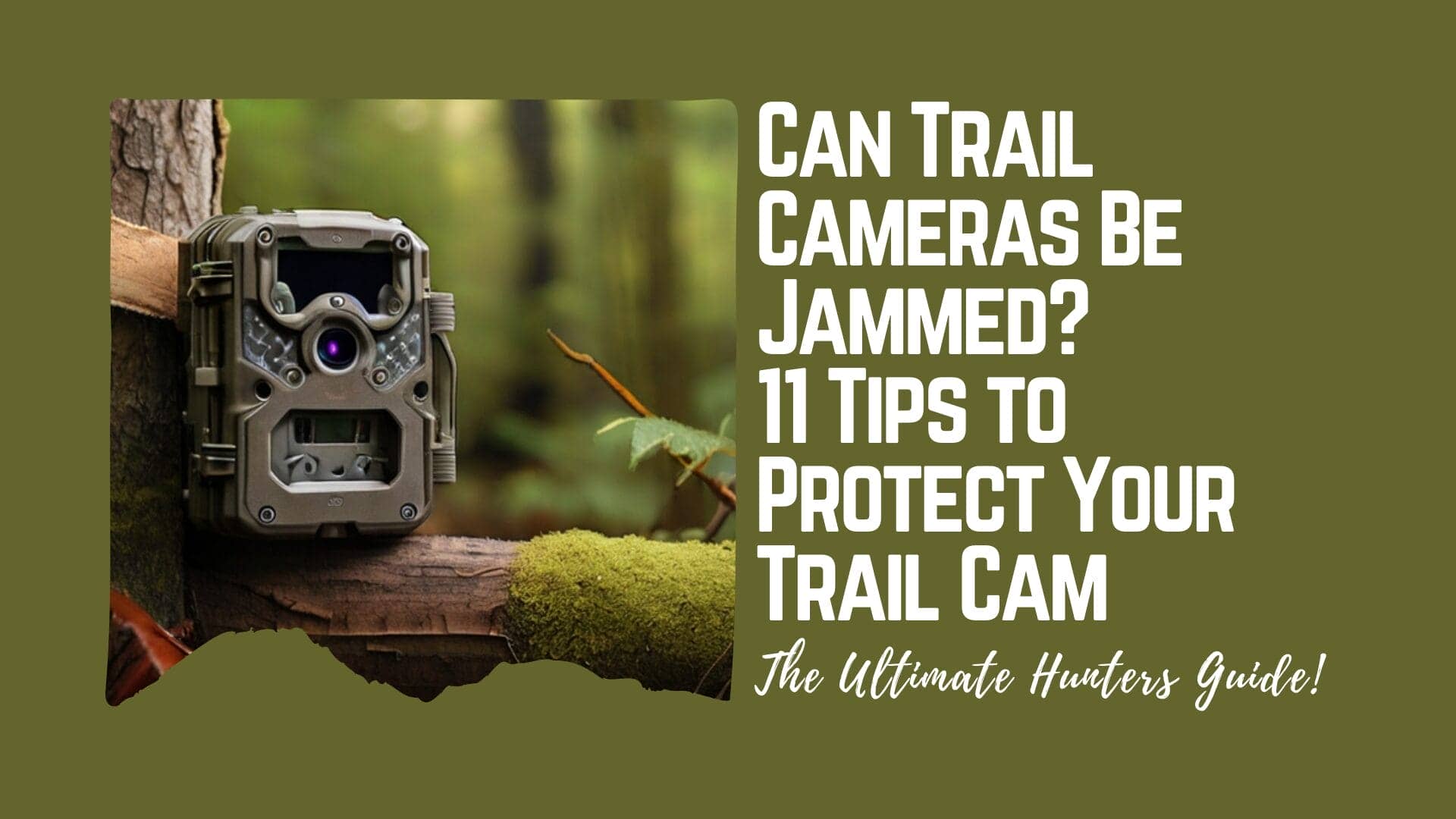 Can Trail Cameras Be Jammed 11 Tips to Protect Your Trail Cam