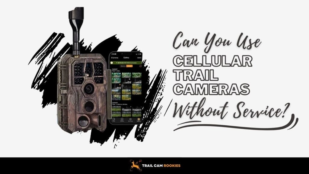 Can You Use Cellular Trail Camera Without Service Surprising Facts!