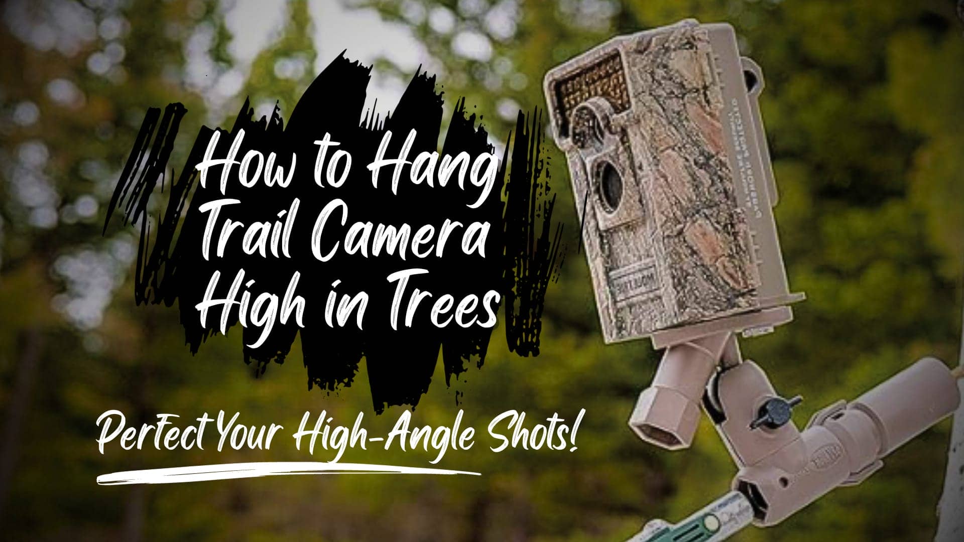 Hanging-Trail-Camera-High-in-Tree-Perfect-Your-High-Angle-Shots