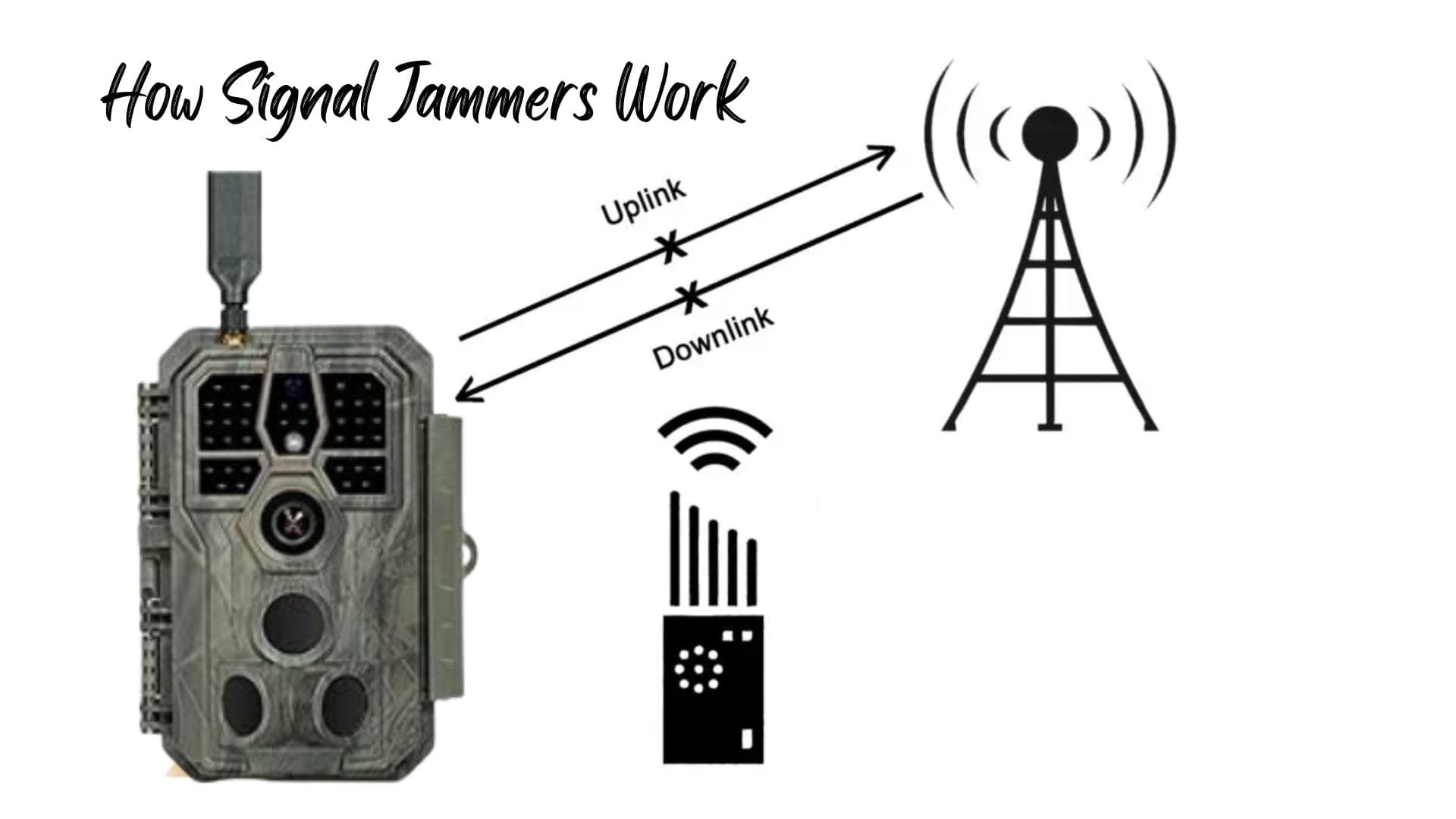 Can Trail Cameras Be Jammed? Insights from Jammer Experts!