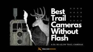 Infrared-Trail-Cameras-Without-Flash-a.k.a-No-Glow-Trail-Cameras
