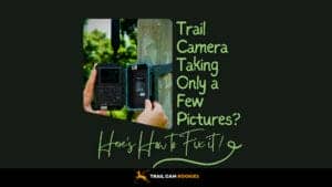 Trail-Camera-Only-Takes-a-Few-Pictures-Here's-How-to-Fix-It!
