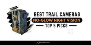 5 Best No Glow Trail Cameras for Security & Outdoor Needs in 2024