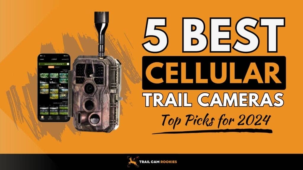Best Cellular Trail Camera for 2024 Top 5 Picks!