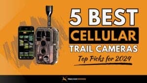 Best-Cellular-Trail-Camera-for-2024-Top-5-Picks