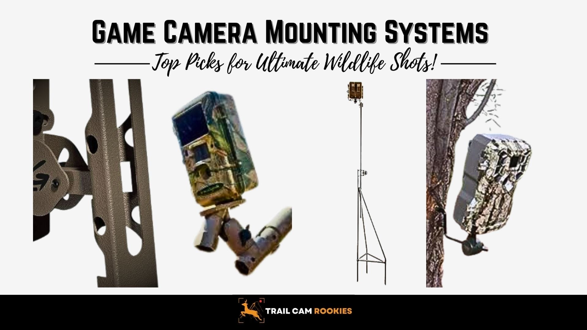 Game Camera Mounting Systems: Top Picks for Ultimate Wildlife Shots!