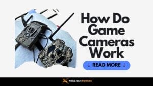 How-Does-Game-Camera-Work-Trail-Cam-User-Ultimate-Guide