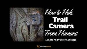 How to Hide Trail Camera from Humans Effectively Proven Strategies