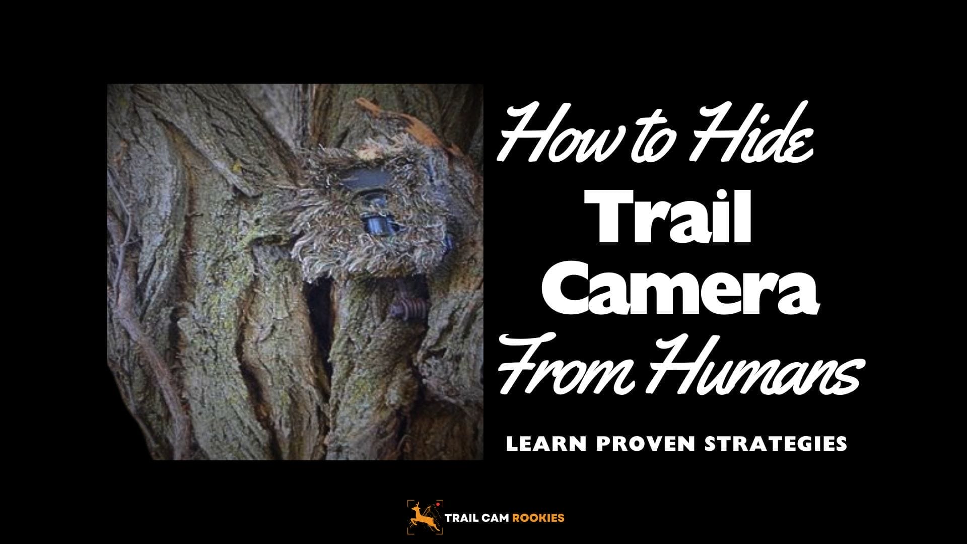 How to Hide Trail Camera from Humans Effectively Proven Strategies
