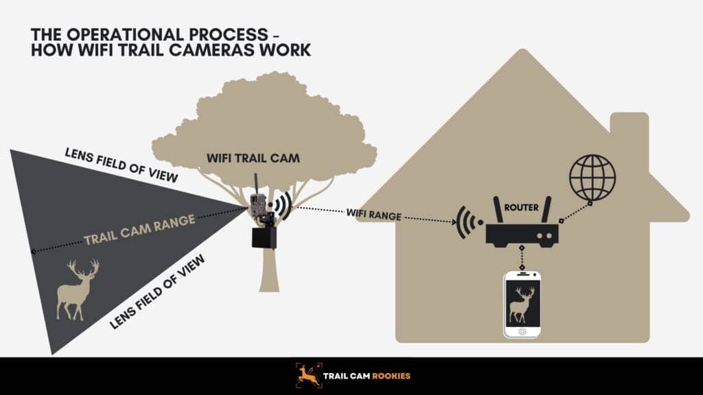 The-Operational-Process-How-WiFi-Trail-Cameras-Work