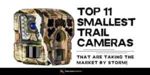 Top 11 Smallest Trail Cameras That are Taking the Market by Storm!