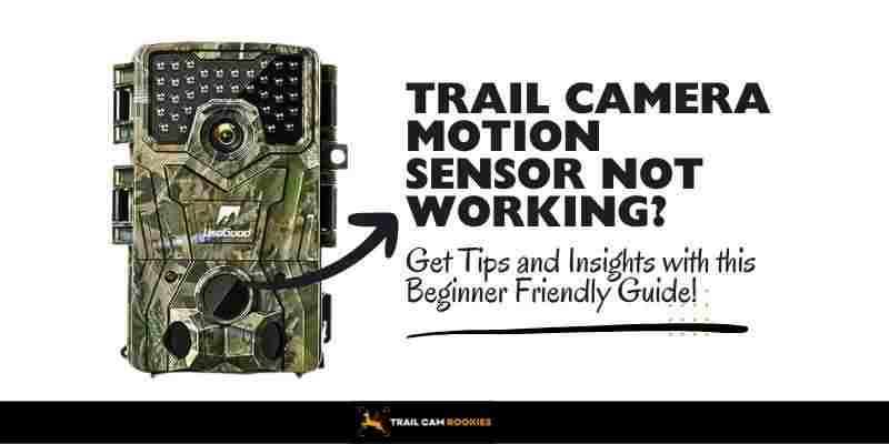 Trail Camera Motion Sensor not Working Ultimate Beginners Guide