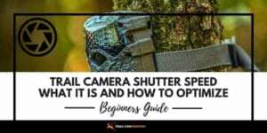 What Is The Shutter Speed of a Trail Cam - A Beginner's Guide