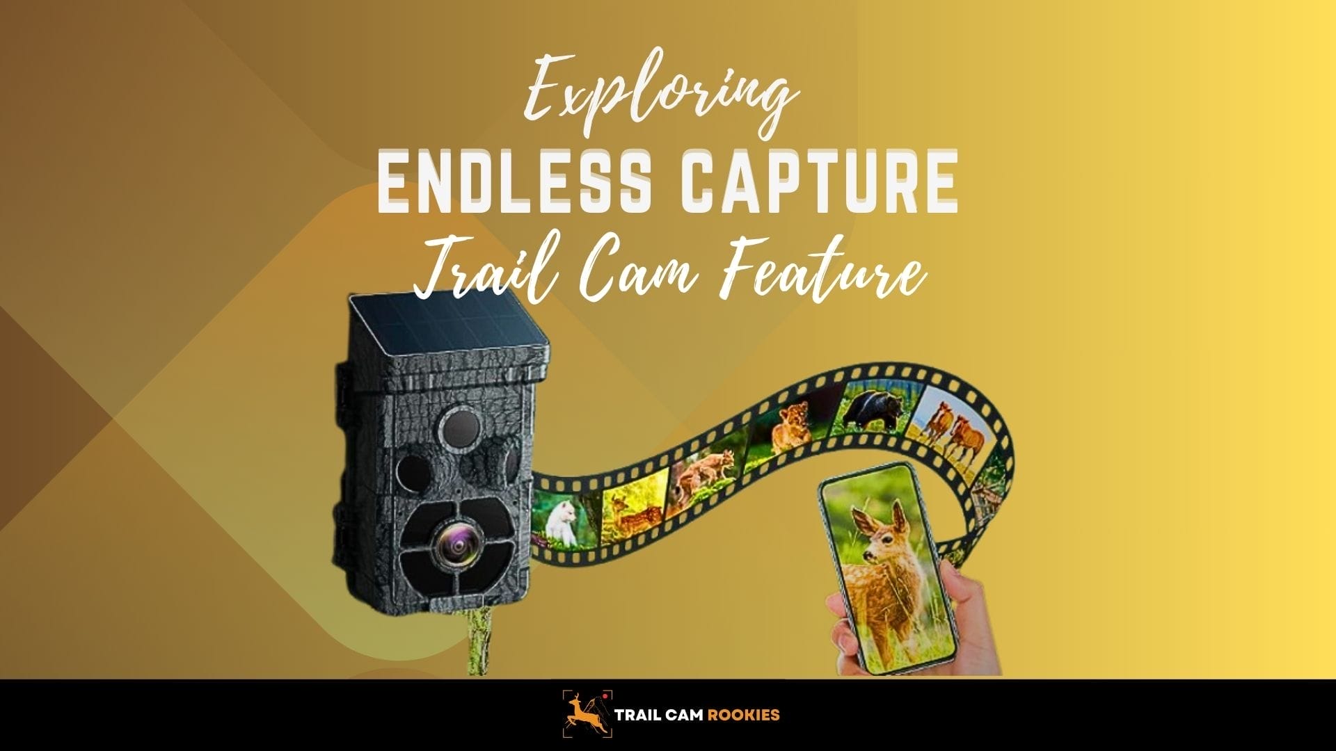 What-does-endless-capture-mean-for-trail-camera