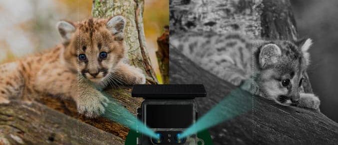 Why Dual-Lens Trail Cameras Stand Out