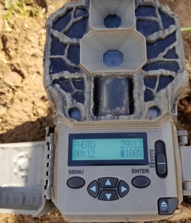 How Long Do Game Camera Batteries Last Trail Camera Battery Life Guide