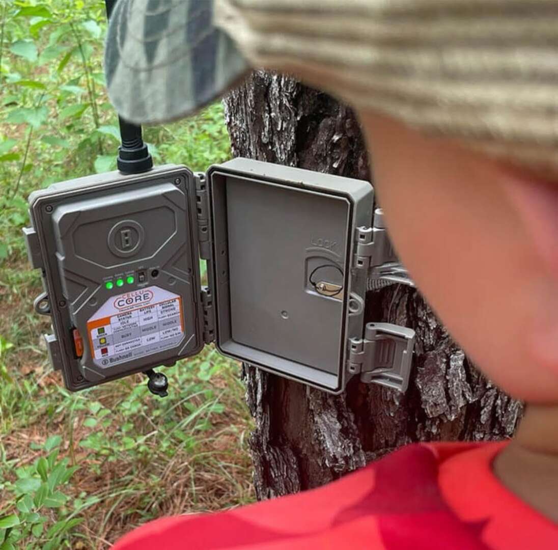 Can Trail Cameras Be Jammed? Insights from Jammer Experts!