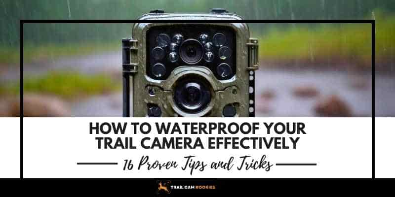 16 Proven Tips to Waterproof Trail Camera from Harsh Weathers