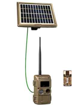 CuddeLink Wireless Trail Camera