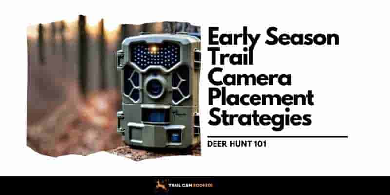 Early Season Trail Camera Placement Strategies