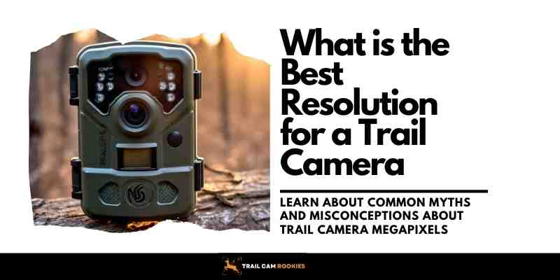 What is the Best Resolution for a Trail Camera Beginners Guide