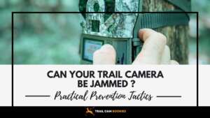 Can Trail Cameras Be Jammed Security Risks and Prevention Tactics