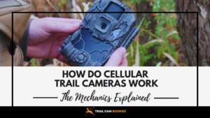 How Do Cellular Trail Cameras Work