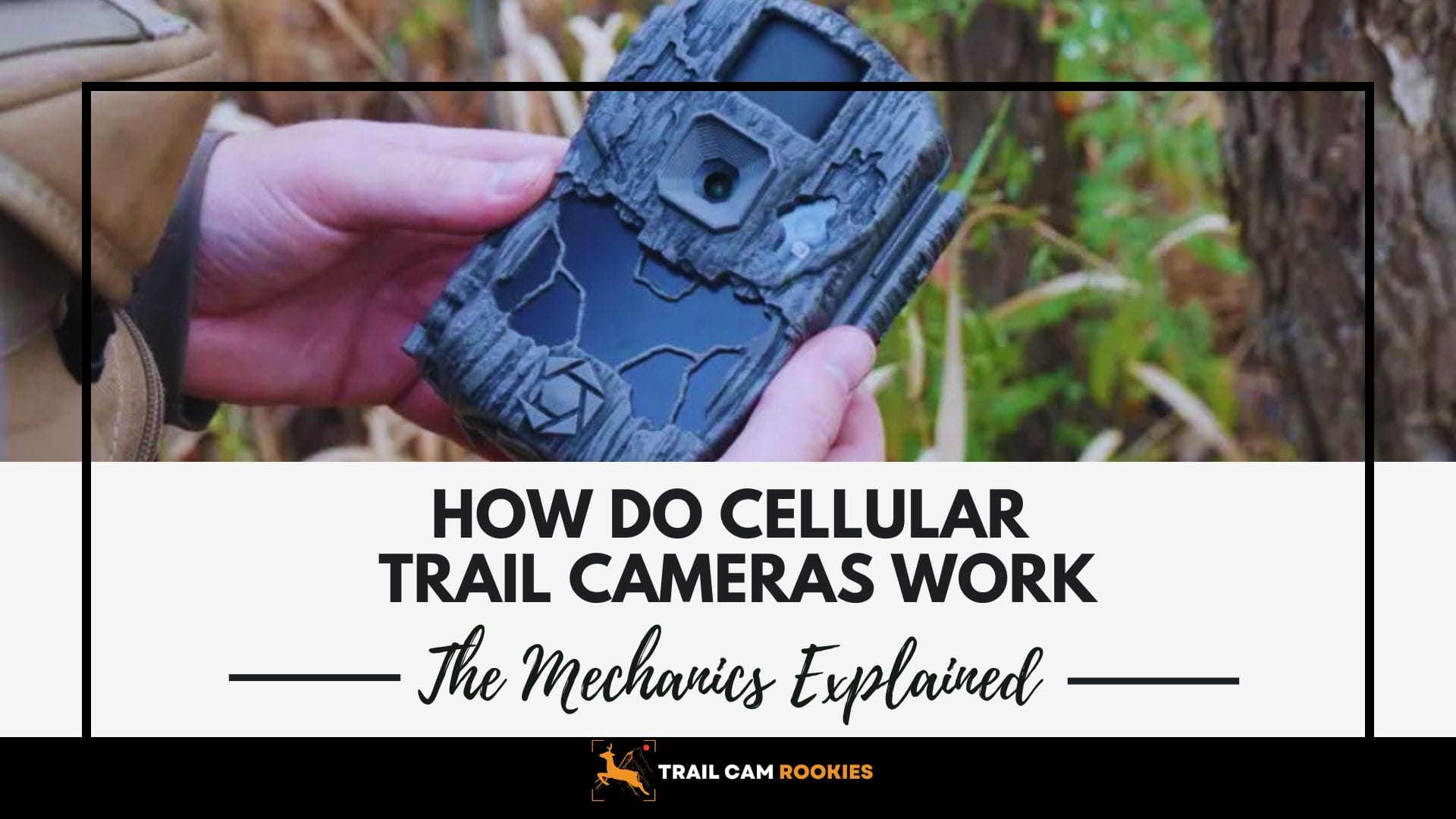 How Do Cellular Trail Cameras Work