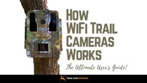 How Wifi Trail Cameras Work