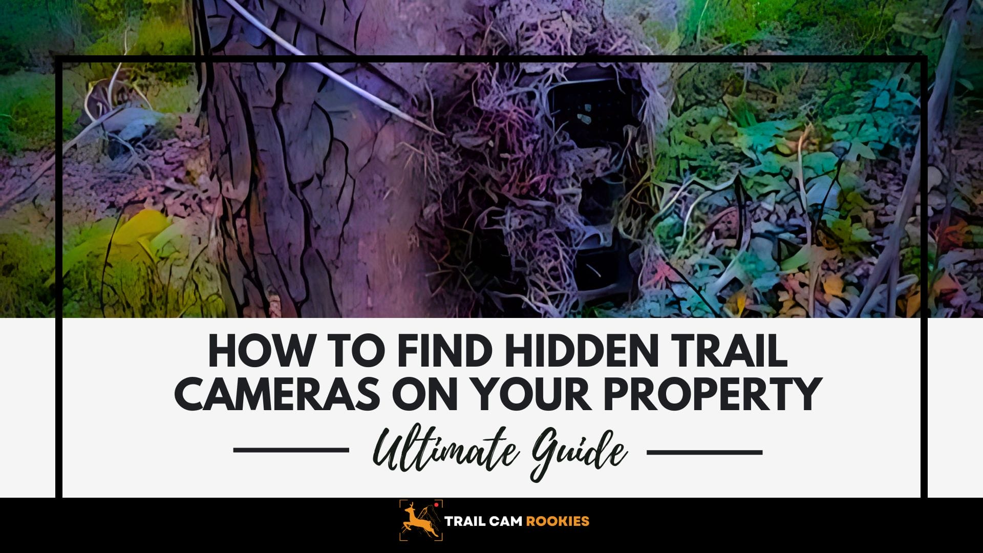 The Ultimate Guide to Detect Hidden Trail Cameras on Your Property