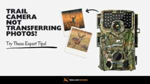 Trail Camera Not Transferring Photos