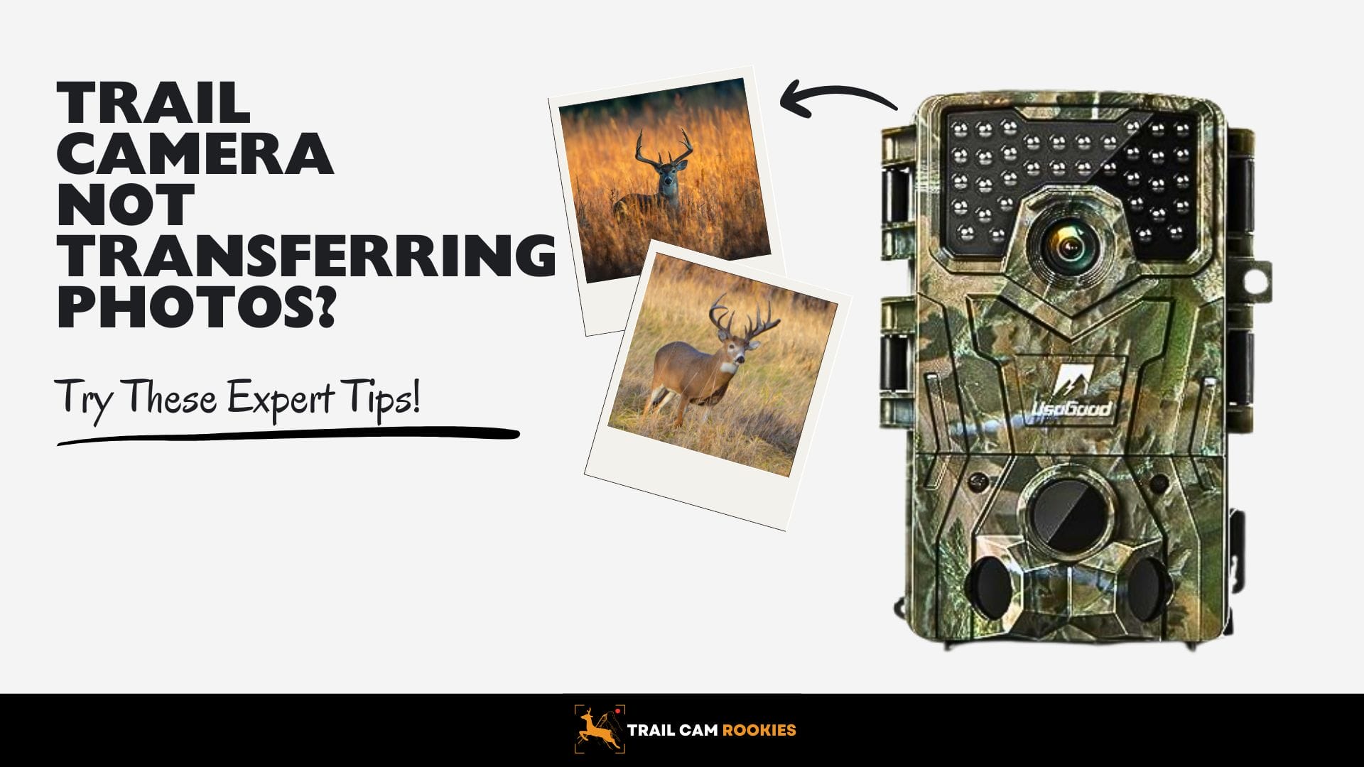 Trail Camera Not Transferring Photos