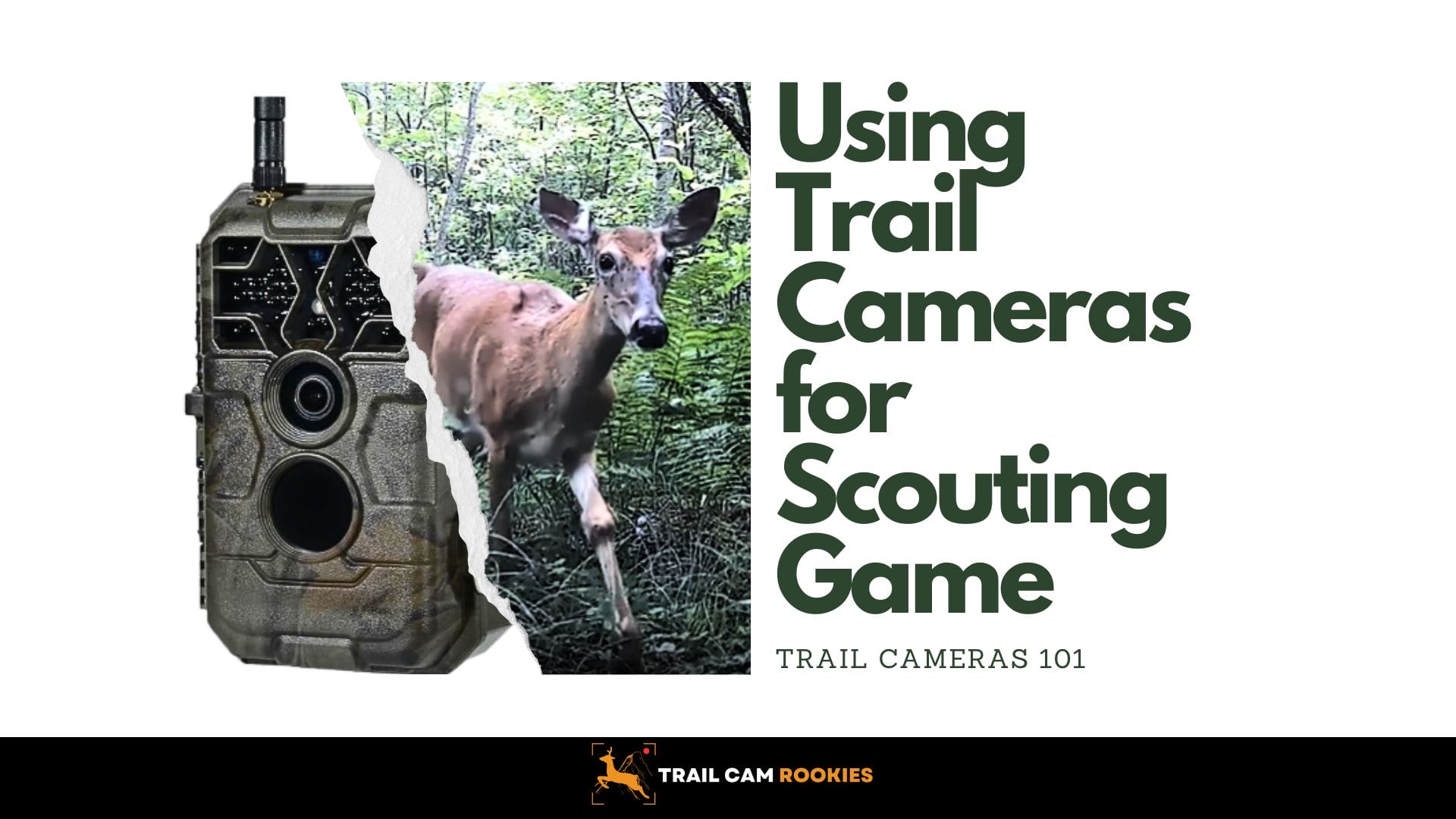 Using-Trail-Cameras-for-Scouting-Game