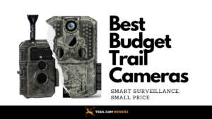 Best Budget Trail Cameras