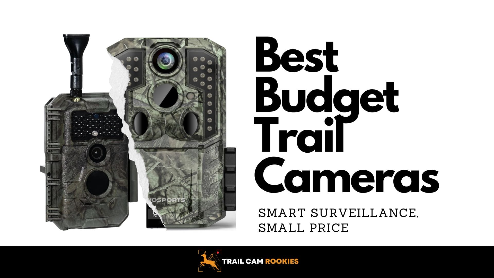 Best Budget Trail Cameras