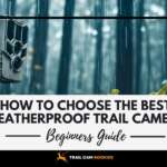 How-To-Choose-The-Best-Weatherproof-Trail-Camera