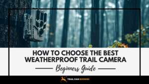 How-To-Choose-The-Best-Weatherproof-Trail-Camera