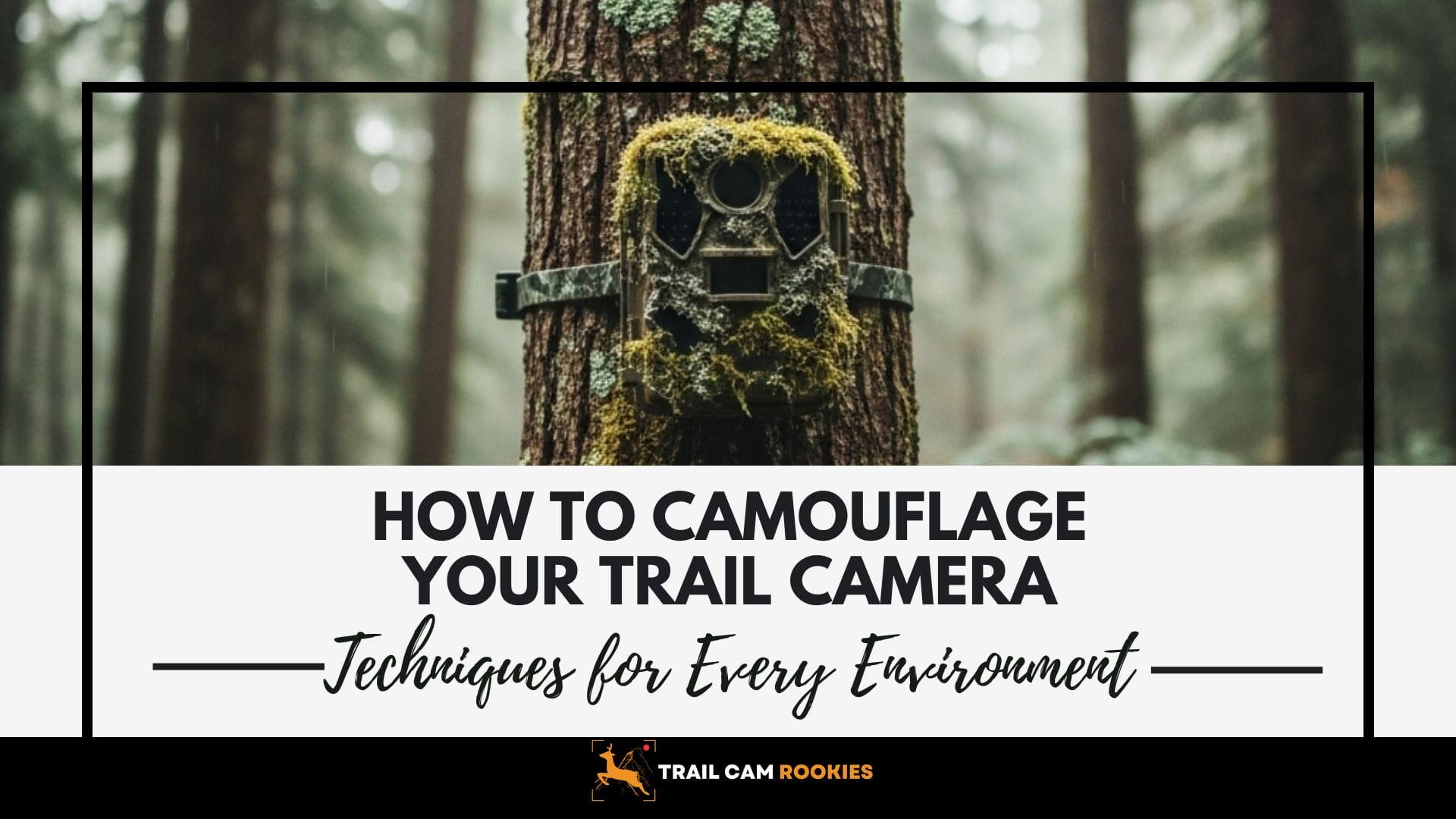 How-to-Camouflage-Your-Trail-Camera