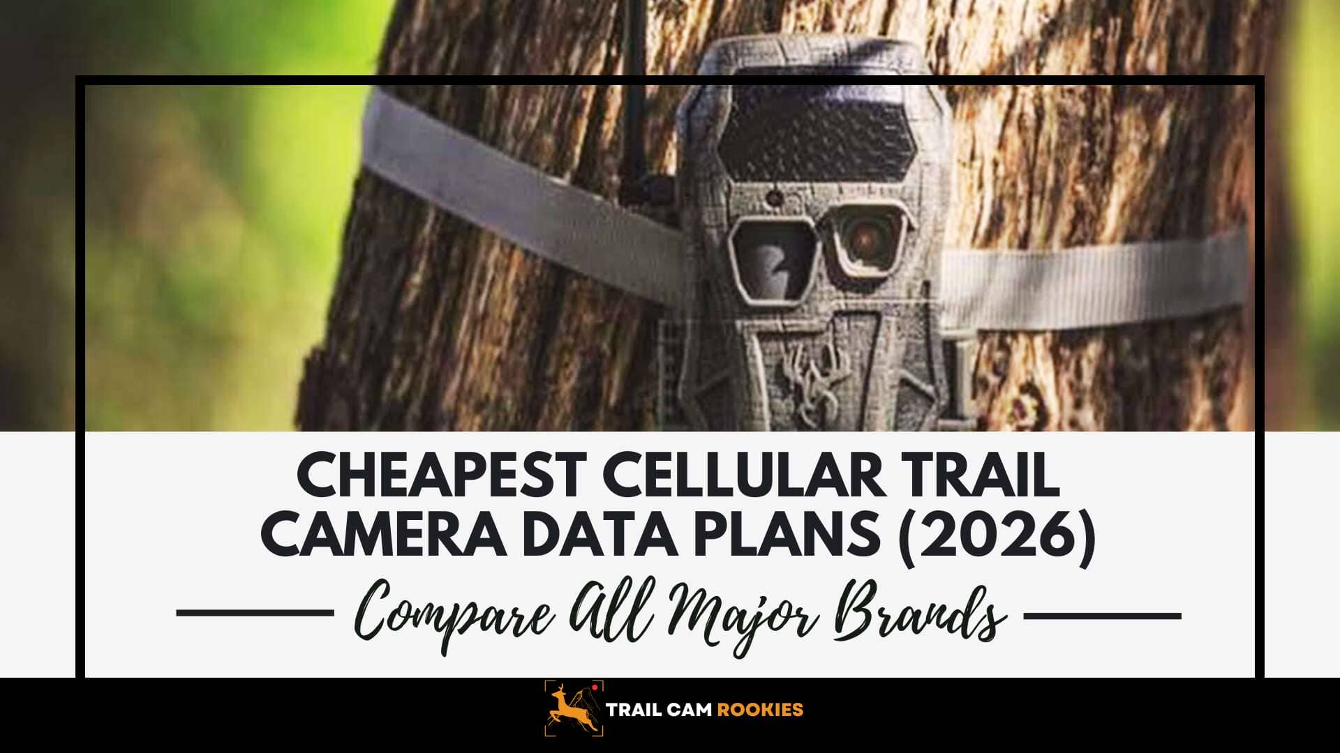 A cellular trail camera is strapped to a tree. Text below reads: Cheapest cellular trail camera data plans (2026). Compare major brands side by side. The logo Trail Cam Rookies appears at the bottom.